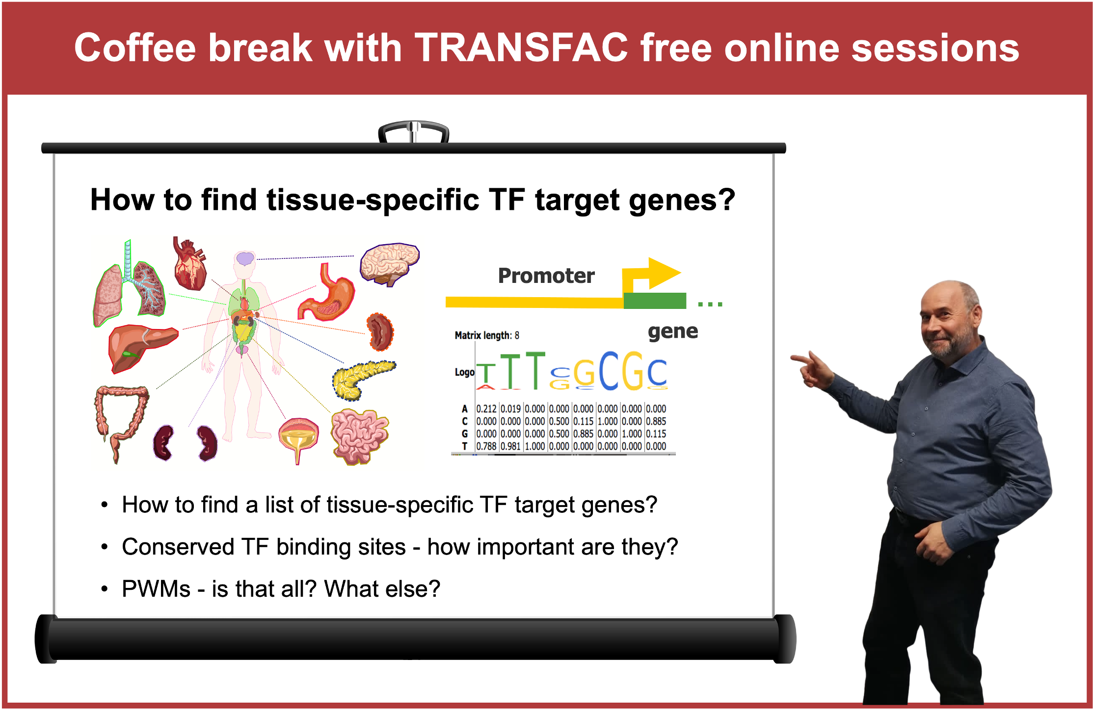 TRANSFAC How to find tissue-specific transcription factor target genes?
