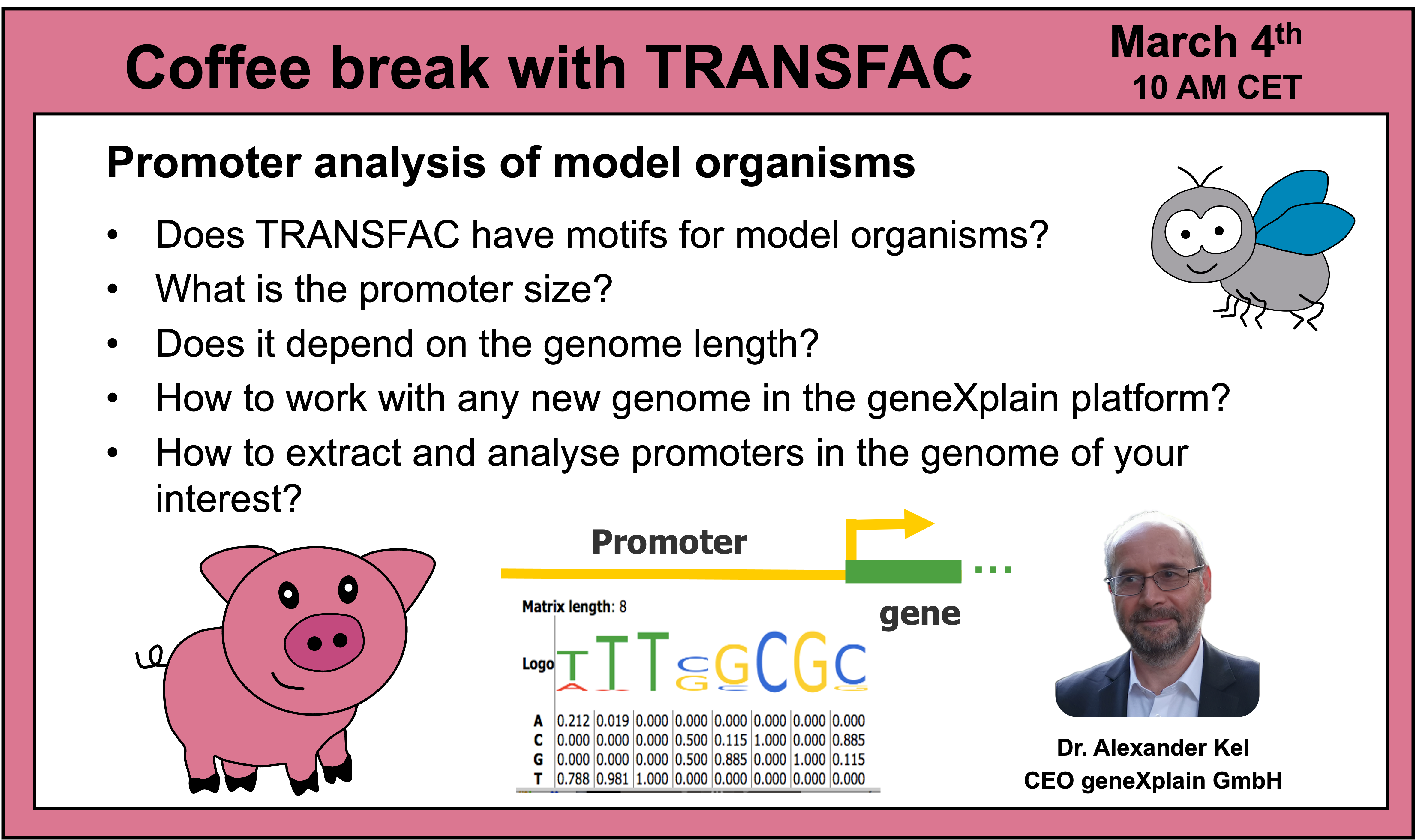 Promoter analysis of model organisms (part 1)