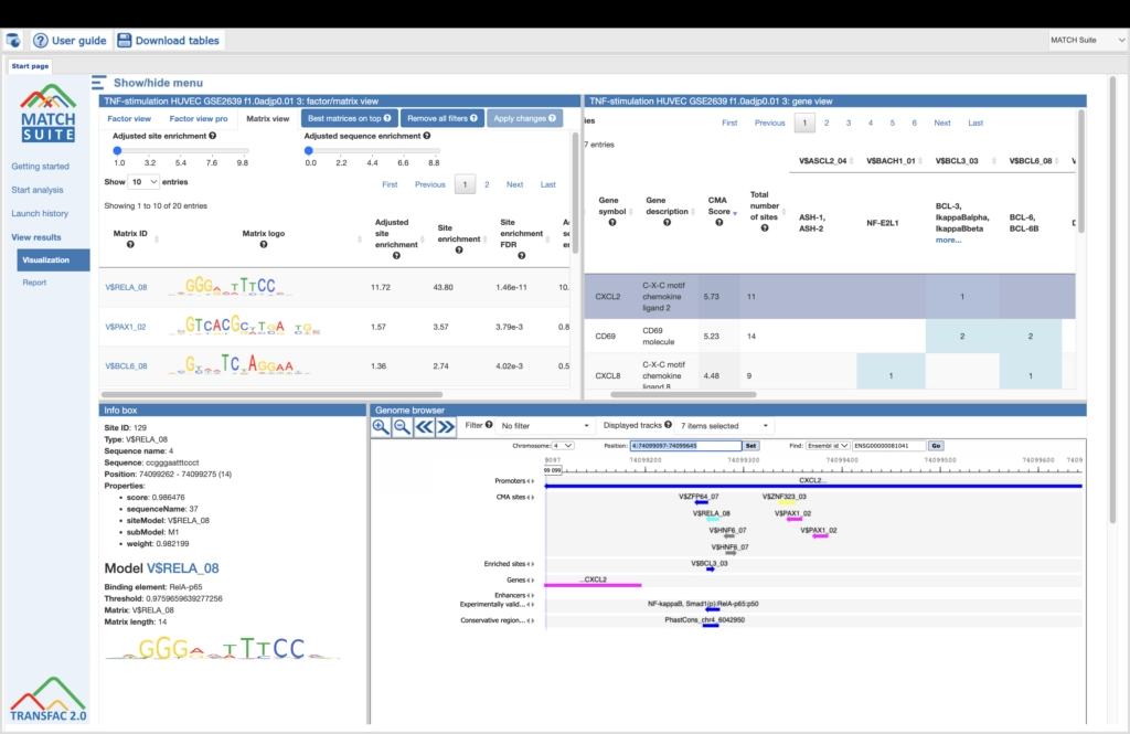 Example Result Of Transcription Factor Analysis In MATCH Suite