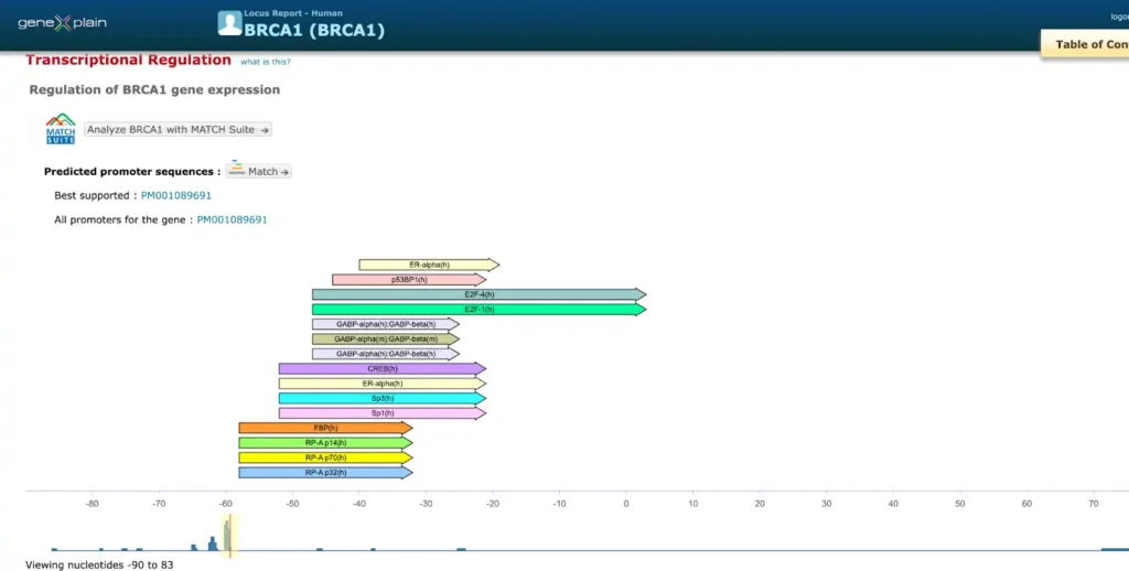 TRANSFAC database Promoters Enchancers 1 1024x518