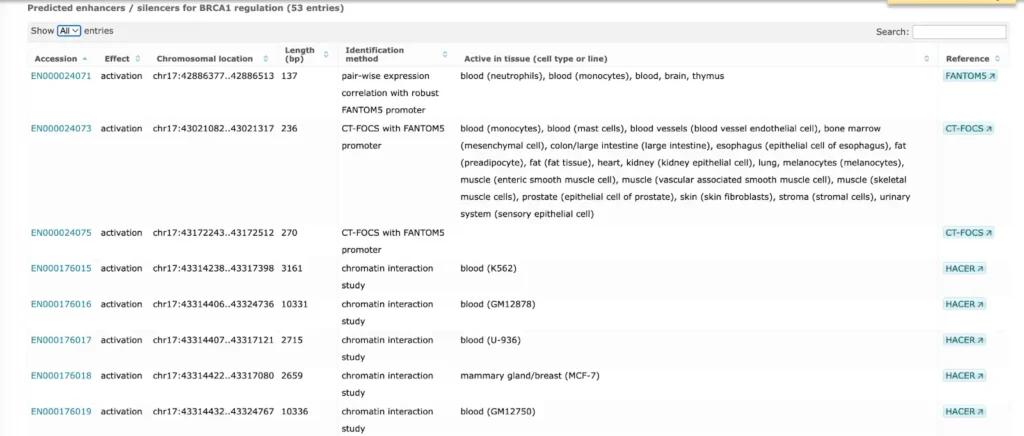 TRANSFAC database Promoters Enhancers 2 1024x436