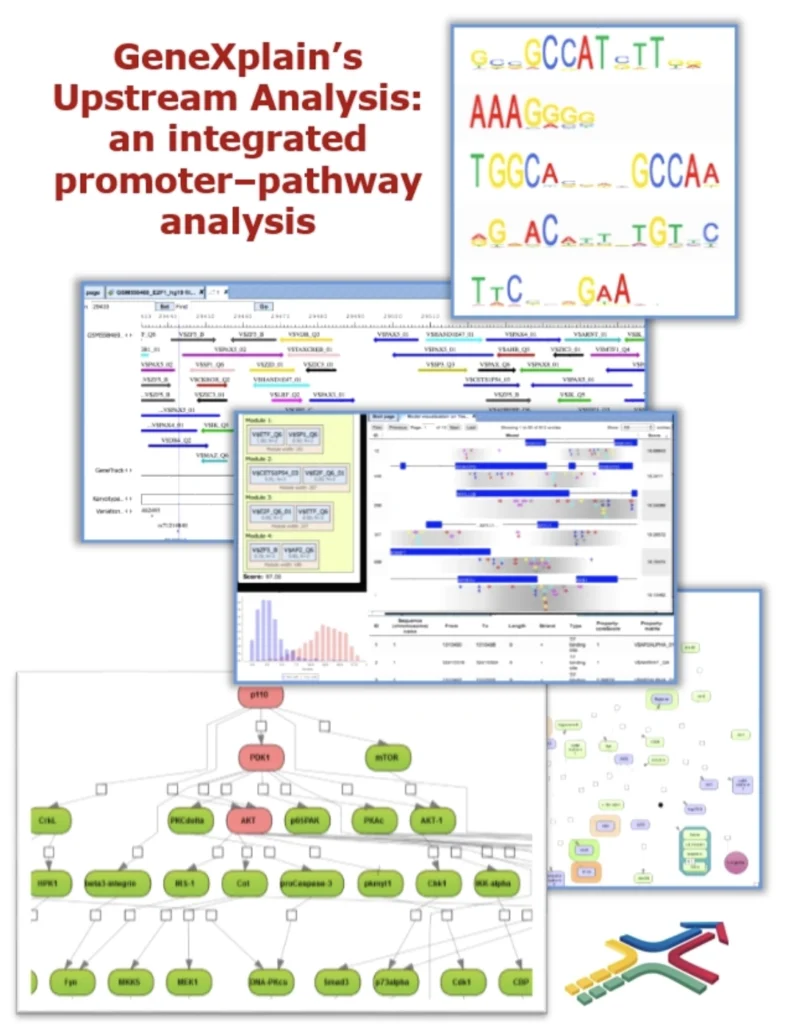 Upstream Analysis: Identifying Master Switches in Gene Regulation Concept Of Upstream Analysis 785x1024