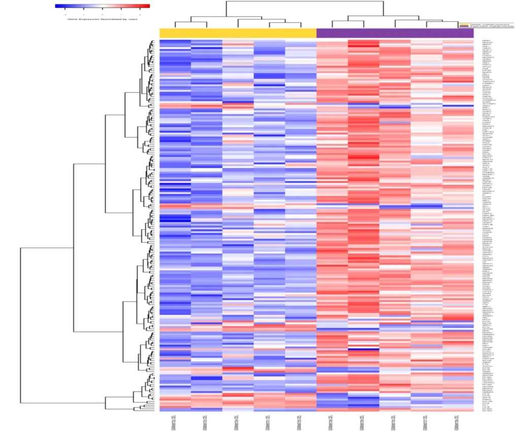 Multi-omics integration Heatmap Of Differentially Expressed Genes In Cisplatin Resistant Vs. Sensitive Ovarian Cancer Cells Scaled E1749465612201 1024x862
