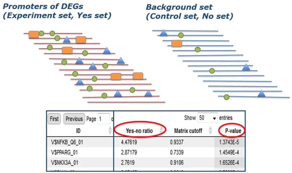 Upstream Analysis: Identifying Master Switches in Gene Regulation Promoters Of DEGs