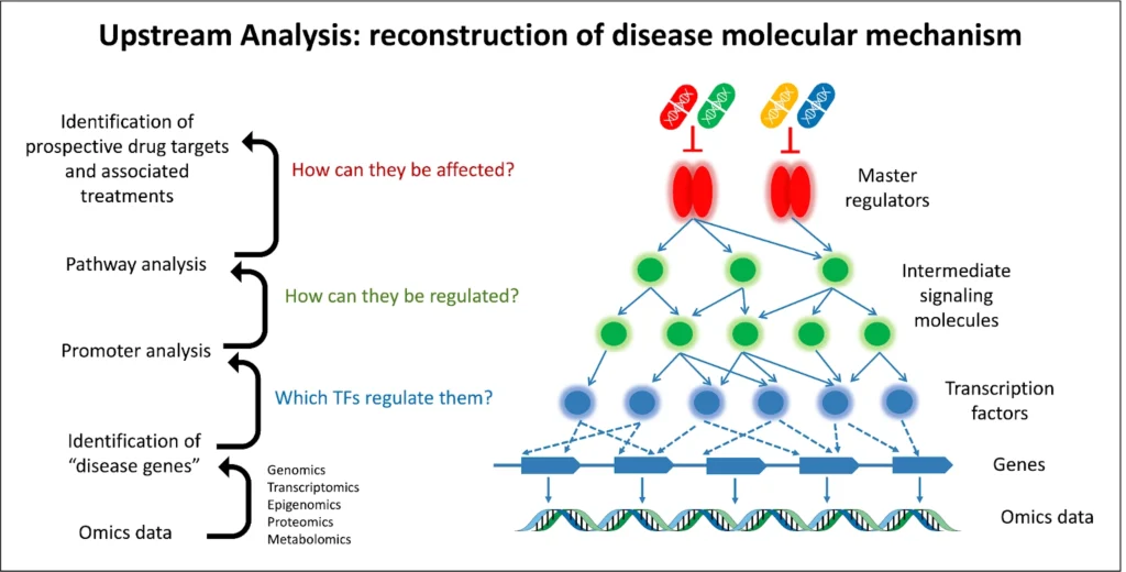 Multi-omics integration Upstream Analysis Reconstruction Of Disease Molecular Mechanism 1024x520