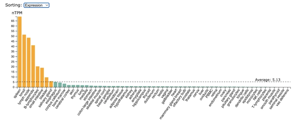 Canonical vs. Non-Canonical Signaling: TNF Superfamily Members Activate Non-Canonical NF-κB Signaling BAFFR TNFRSF13C 1024x426