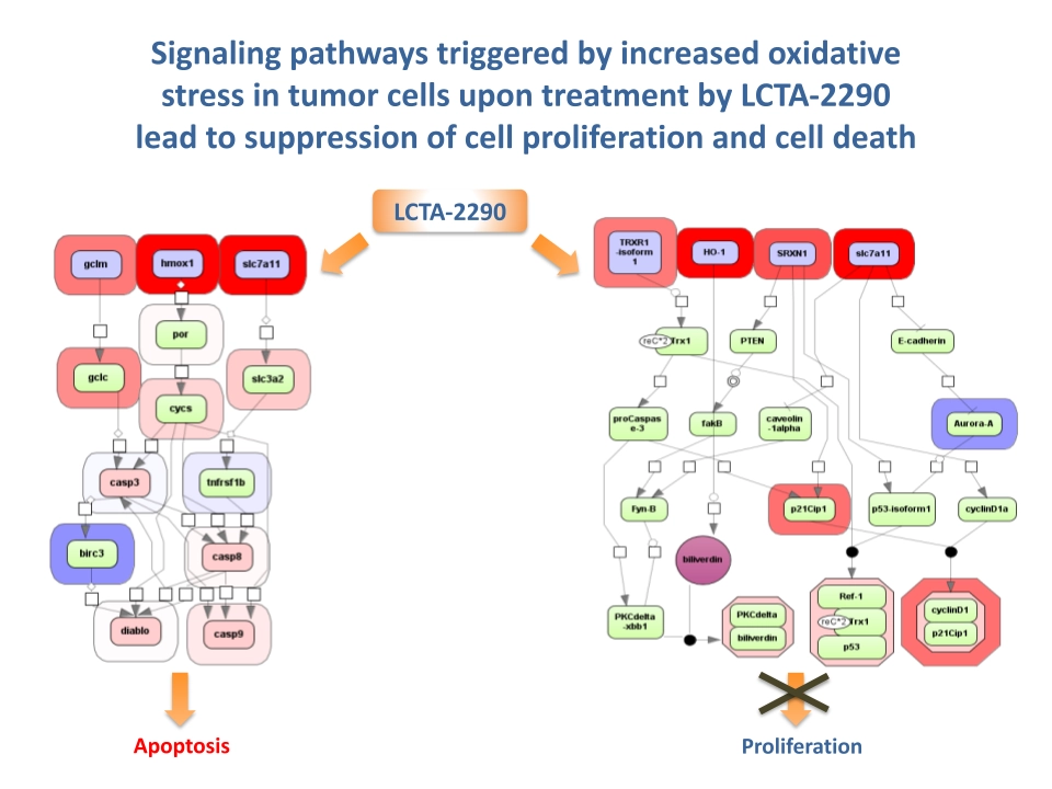 From Data to Discovery: The Story of LCTA – A Novel Class of Anticancer Compounds Targeting Thioredoxin Reductase LCTA2290