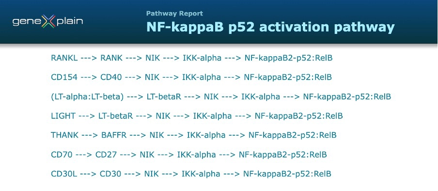 Canonical vs. Non-Canonical Signaling: TNF Superfamily Members Activate Non-Canonical NF-κB Signaling Non Canonical NF κB Pathway