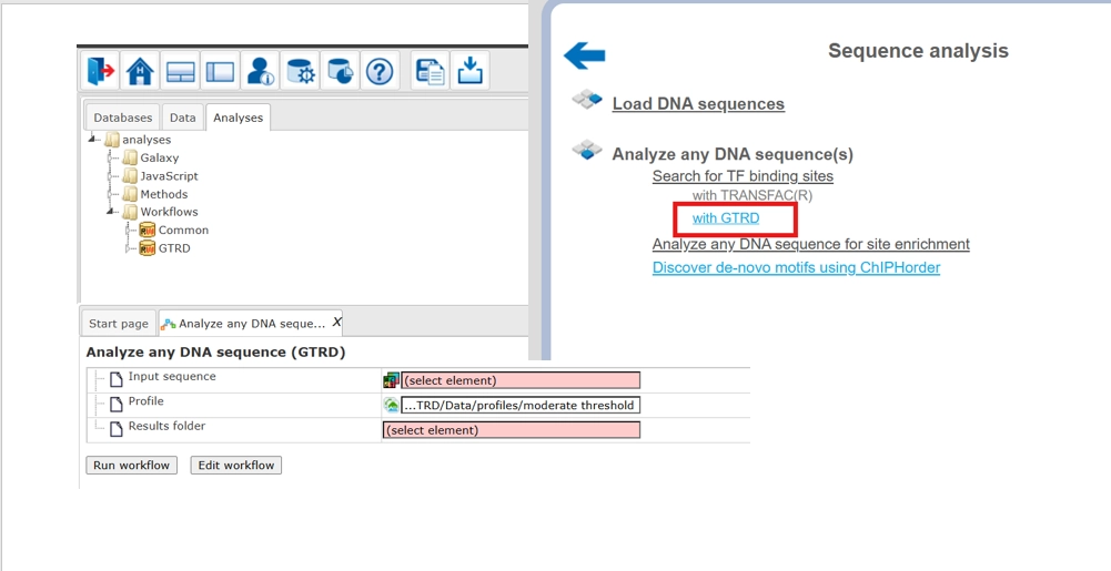 geneXplain platform Introduction, Load data, Analyze any sequence for TFBSs (GTRD) 13. Open Workflow Input Form
