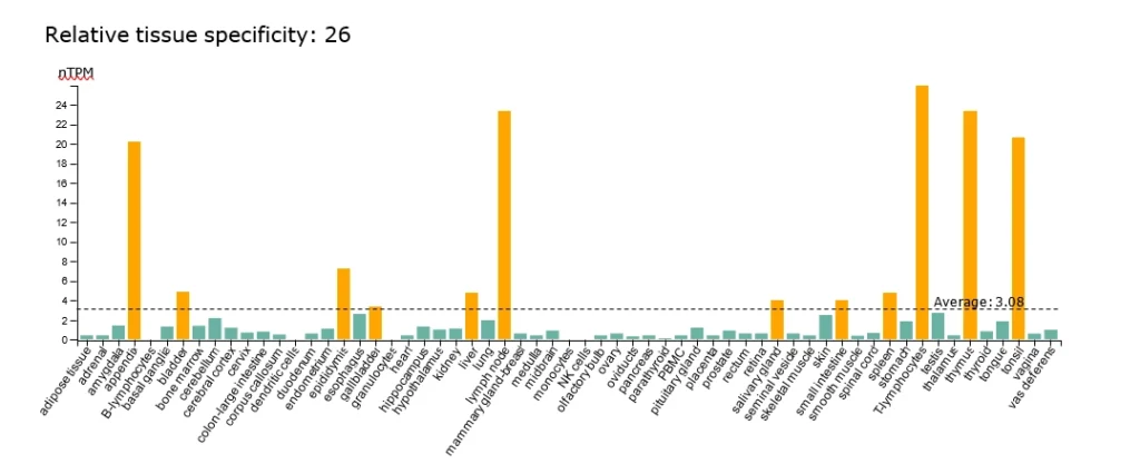 FOXP3: Master Regulator of Immune Tolerance and T-Cell Identity 3.08 NTPM Across 26 Tissues Including T Lymphocytes Spleen Thymus Lymph Node And Others 1024x417