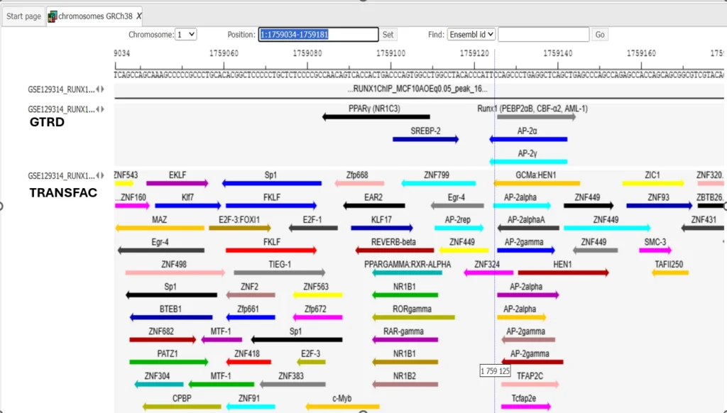 Chip-Seq data analysis Comparison Of Binding Sites Identified Using GTRD And TRANSFAC 1024x582