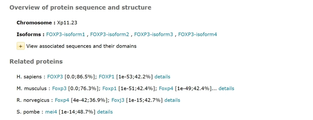 FOXP3: Master Regulator of Immune Tolerance and T-Cell Identity Protein Features 1024x393