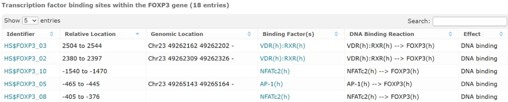 FOXP3: Master Regulator of Immune Tolerance and T-Cell Identity TFBS Ithin The FOXP3 Gene 1024x207