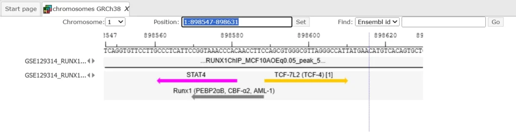 Chip-Seq data analysis The Output Track File 1024x263