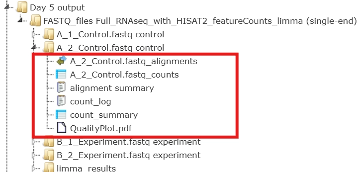RNA-seq data analysis The Outputs Of Counting Genes