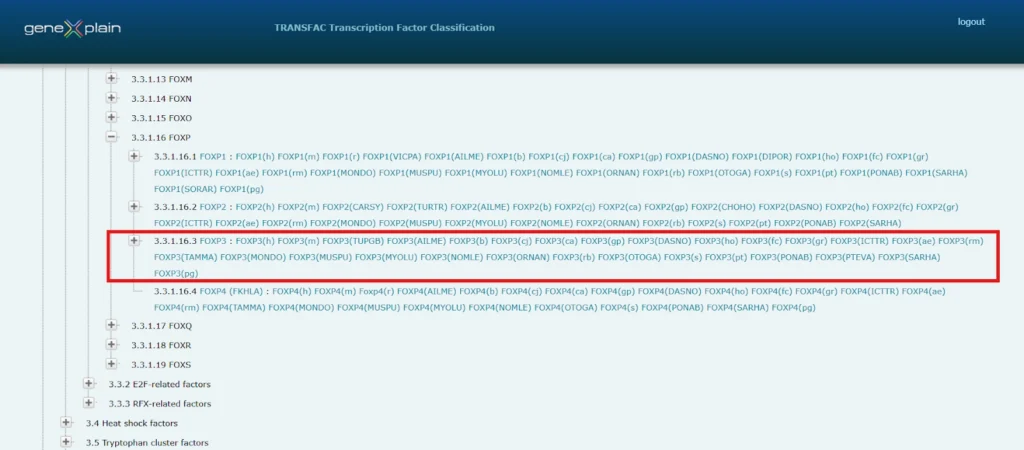 FOXP3: Master Regulator of Immune Tolerance and T-Cell Identity Transcription Factor Classification 1024x450