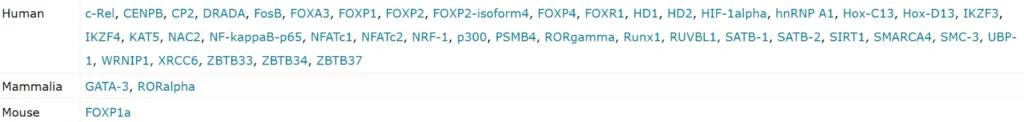 FOXP3: Master Regulator of Immune Tolerance and T-Cell Identity Transcription Factors Which Interact With FOXP3 1024x122