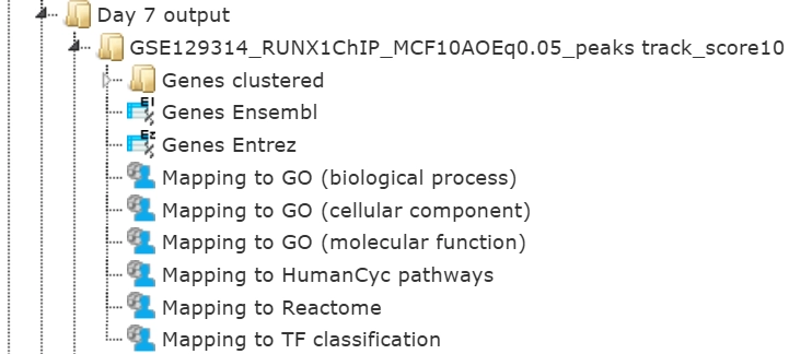 Chip-Seq data analysis Output Files
