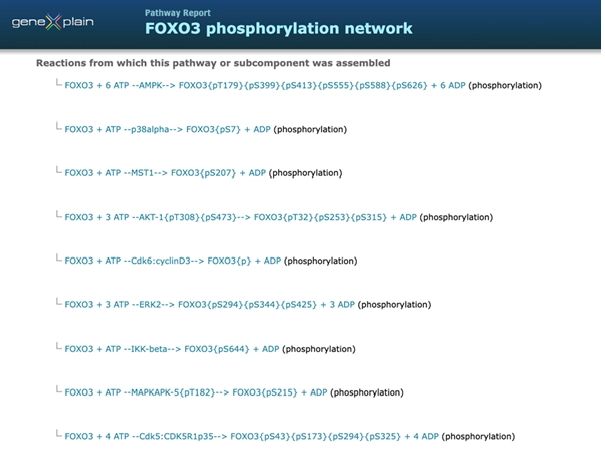 FOXO3: The Longevity Switch Inside Our Cells — Decoding the Master Regulator of Aging, Stress, and Disease FOXO3 Phosphorylation Network