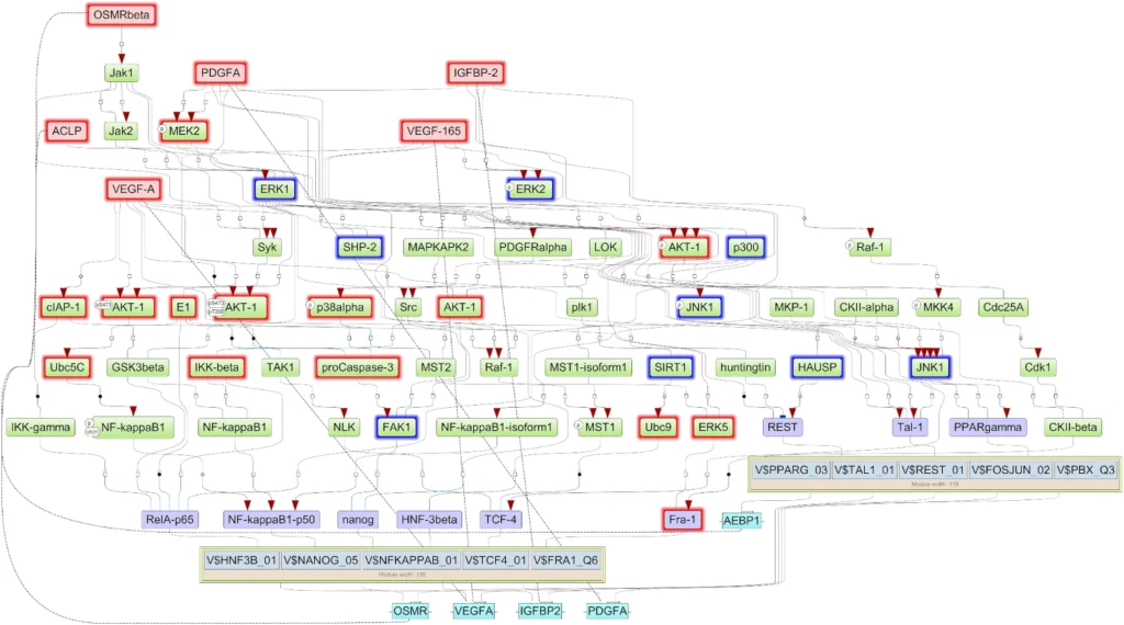 Glioblastoma’s vicious circle — and how we can break It STS Gene Network 1024x570