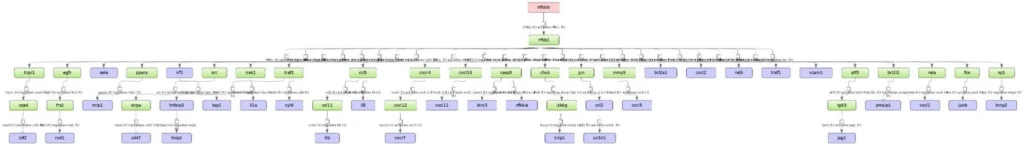 Identification of Master regulators within geneXplain platform TNF HUVEC NFKB1 Regulatory Network 1024x145