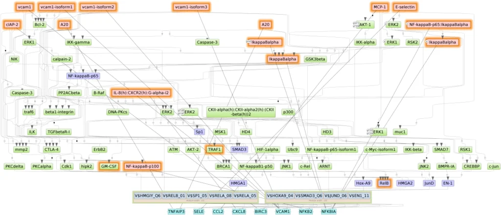 Identification of Master regulators within geneXplain platform TNF HUVEC Signaling Network Map 1024x440