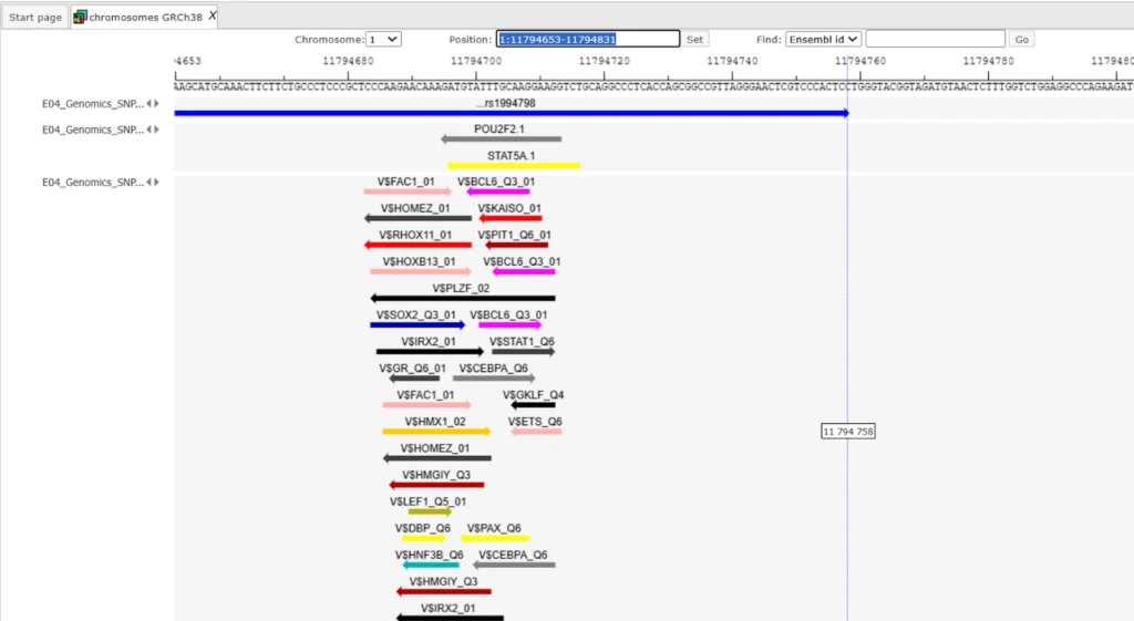Genome variant analysis Genome Browser View Of Binding Sites Around SNPs 1024x561