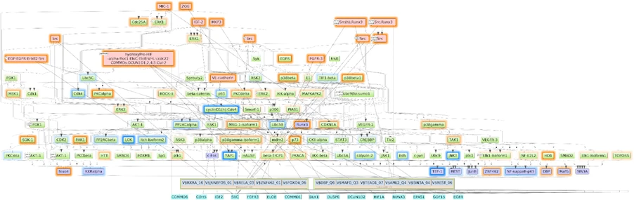 Pathway Omics suite reconstruct pathways & identify master regulators using upstream analysis