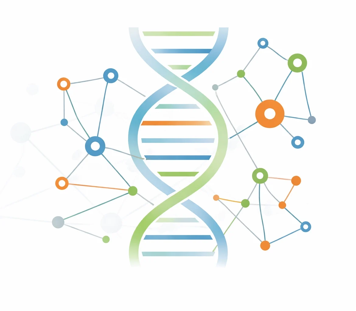 About us scientific foundations
