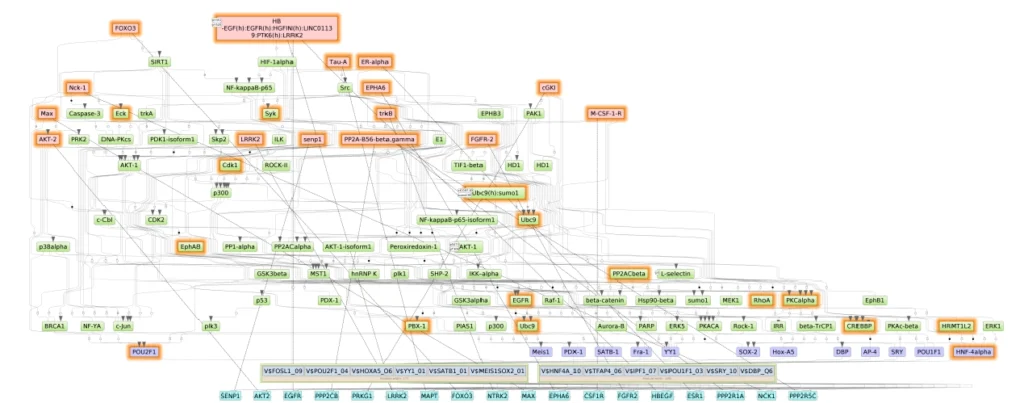 From Regulatory Networks to Longevity: A Genome Enhancer Case Study most frequently mutated genes in longevity snp