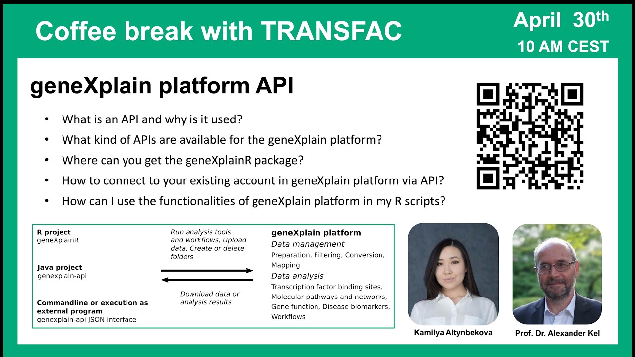 TRANSFAC geneXplain platform API