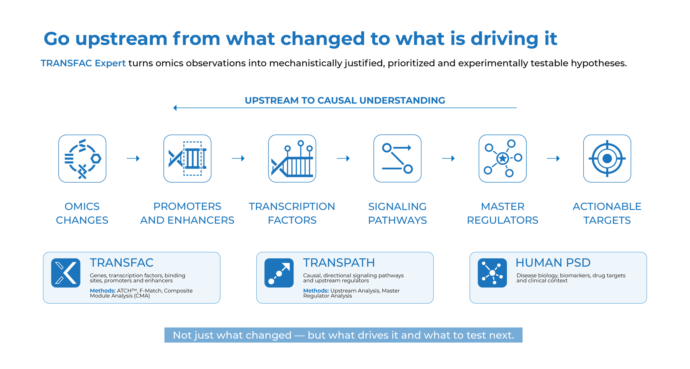 TRANSFAC Expert The upstream route, from omics changes to actionable targets, and the three databases behind each step