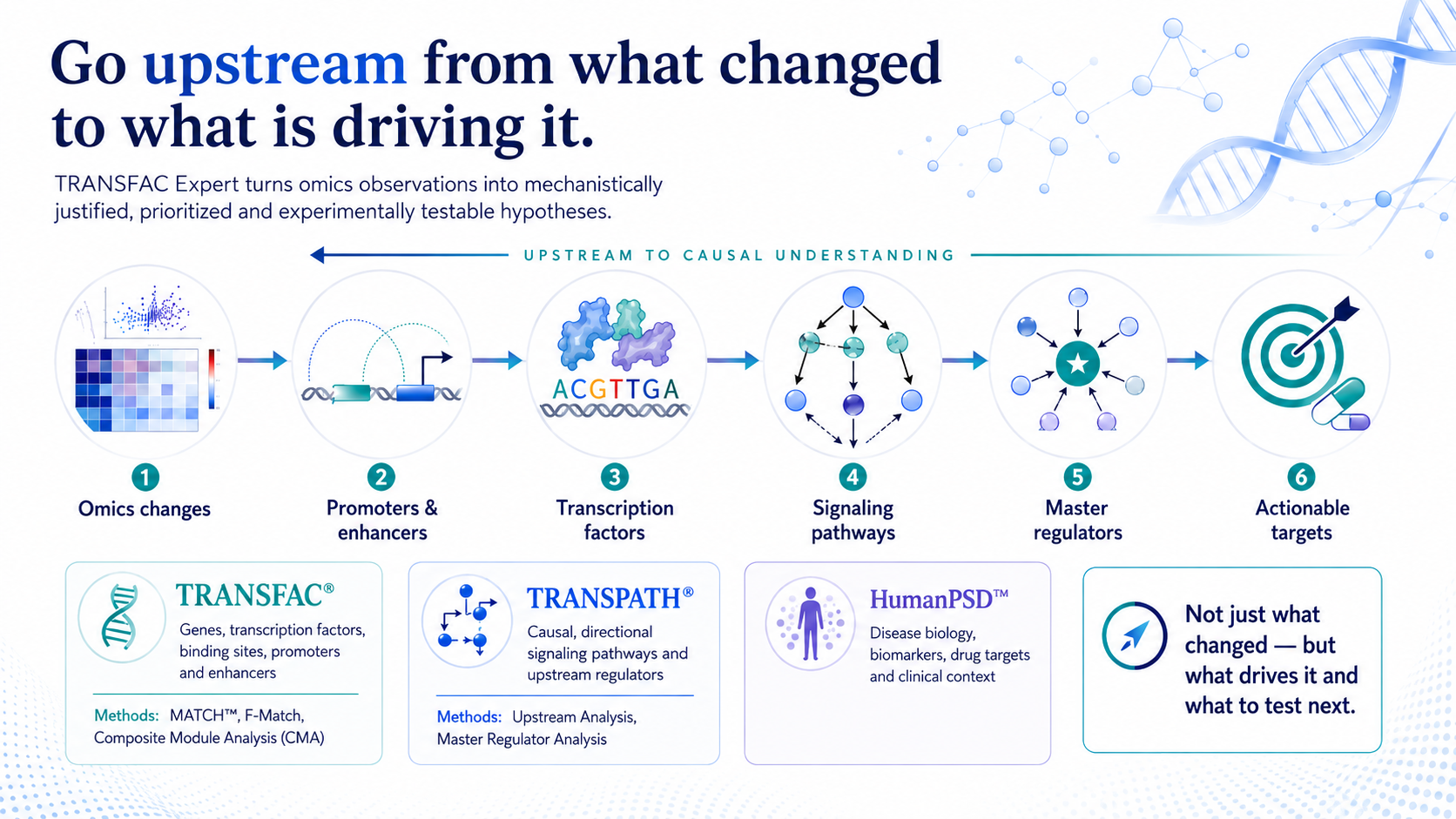 claude-ns-expert The upstream route, from omics changes to actionable targets, and the three databases behind each step.
