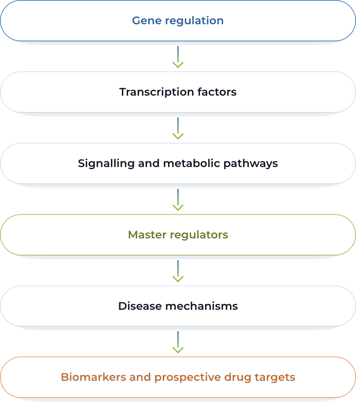 Gene regulation, transcription factors, signalling and metabolic pathways, master regulators, disease mechanisms, biomarkers and prospective drug targets — each step leading to the next